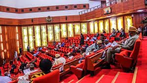 Senate amends, passes bill to establish Federal University of Technology, Auch