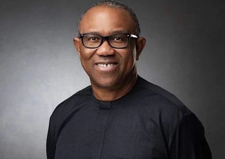 Opinion: At The Peter Obi Event In New York – By Sonala Olumhense