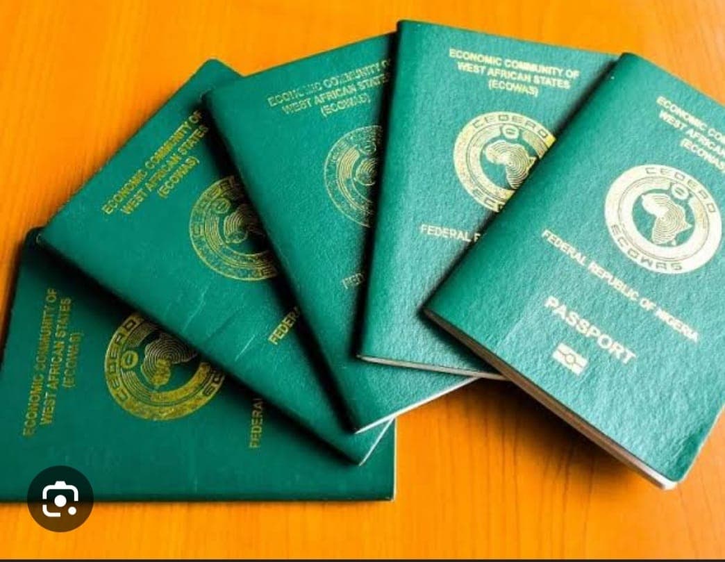 Nigeria’s Unending International Passport Procurement Blues – By Emeka Ozumba